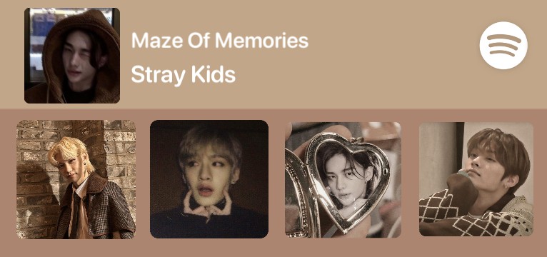 Stray Kids Spotify 