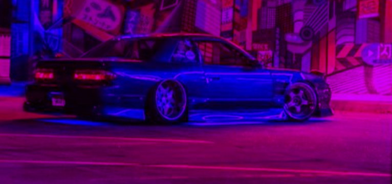 s13