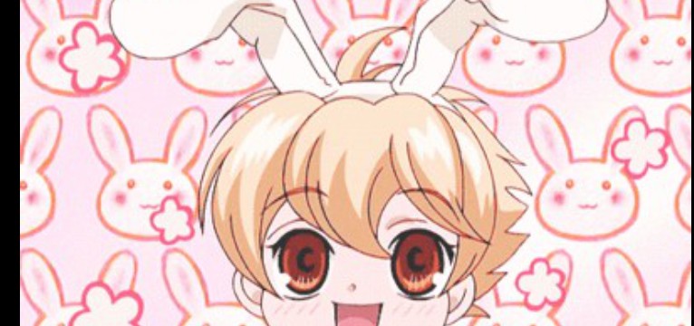honey widget :3
