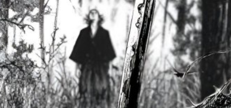 Vagabond