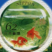 green fish aqua