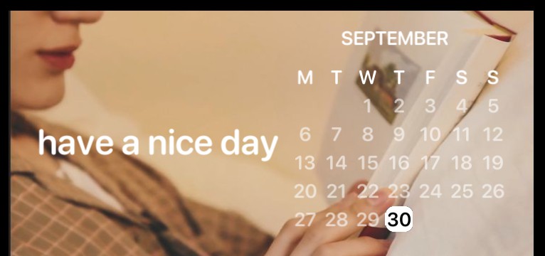 nct beige widgets