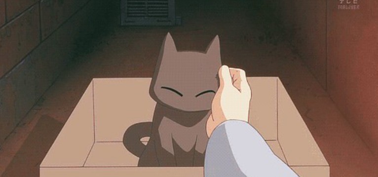 sakamoto 