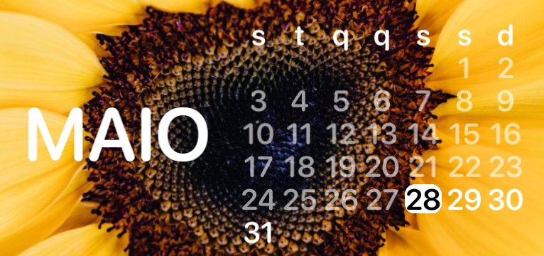 girassol widget calendrio