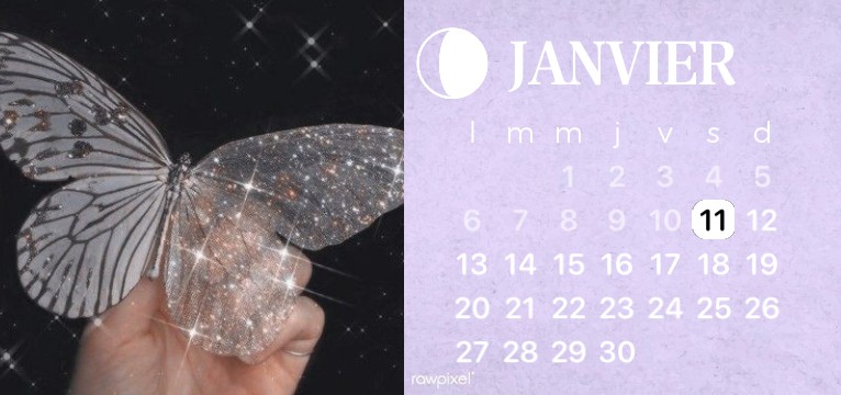 butterfly calendar 344