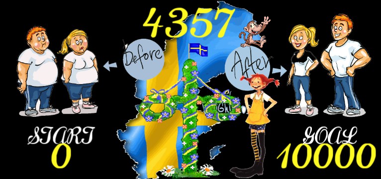 Schritte Midsommar Schweden