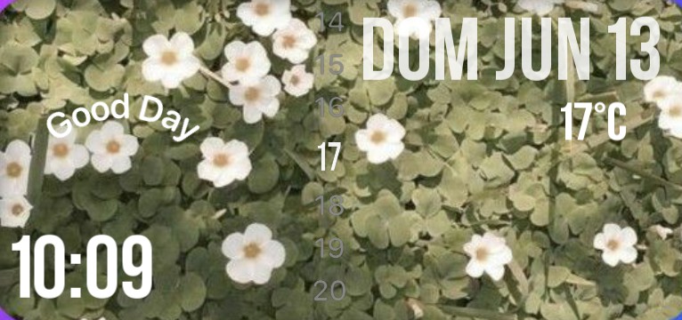 Flower