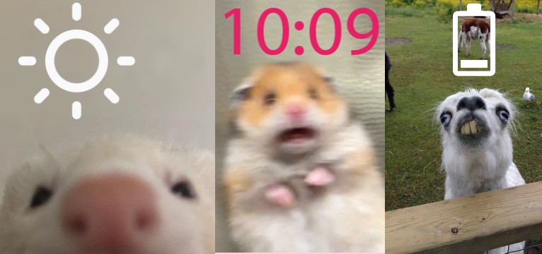 memes