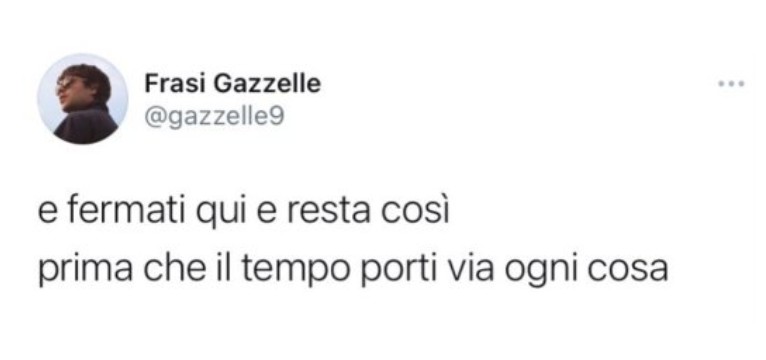 scusa gazzelle
