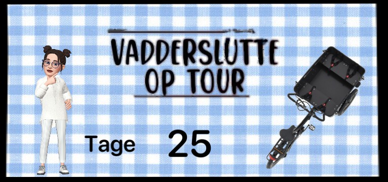 Counter VADDERSLTTE  blau kariert 