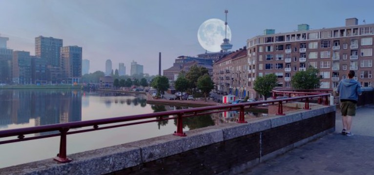 moonlit city