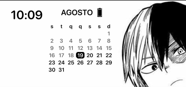 todoroki widget black