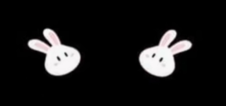 Bunnies