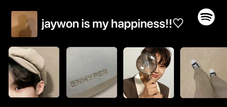 fake spotify jaywon