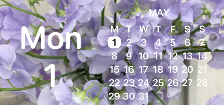 purple calendar and day