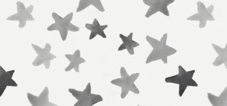 5-star stray kids 