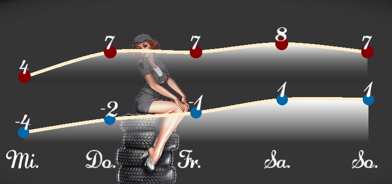 Wetterkurve Reifen Pin Up 
