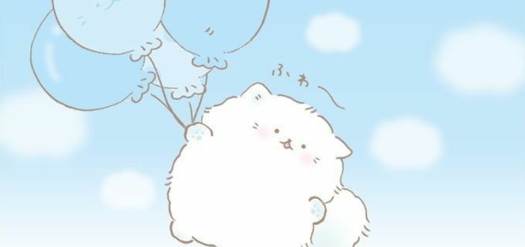 cute cat