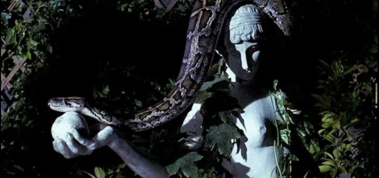 Snake in the Garden