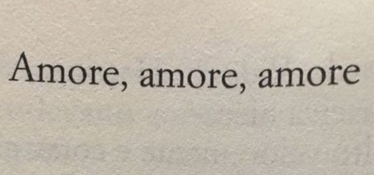 amor