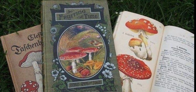 mushroom books
