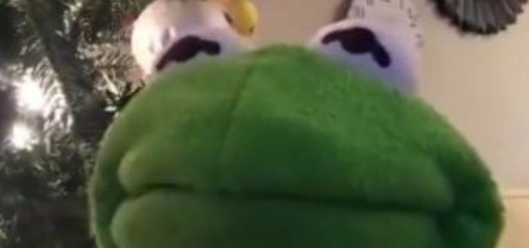 kermit