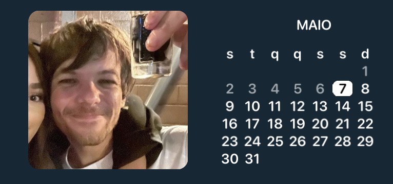 widget louis