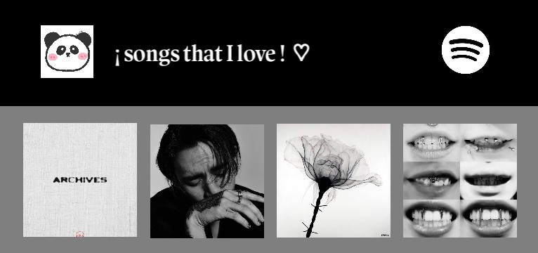 dpr spotify widget