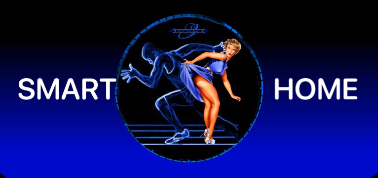 Smarthome Sport Pin Up 