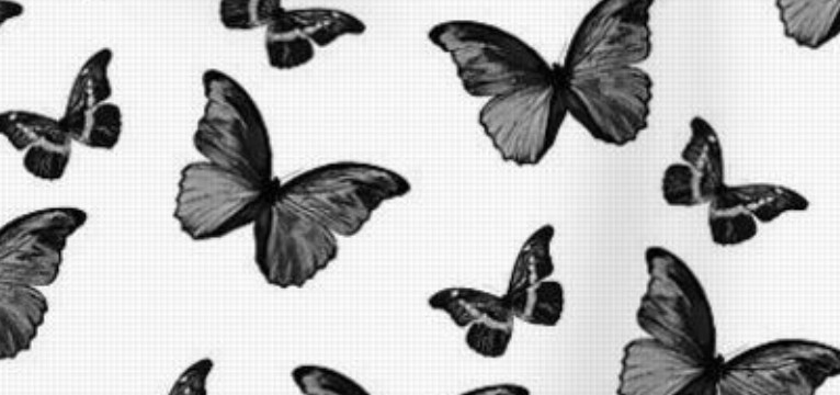 mariposas 