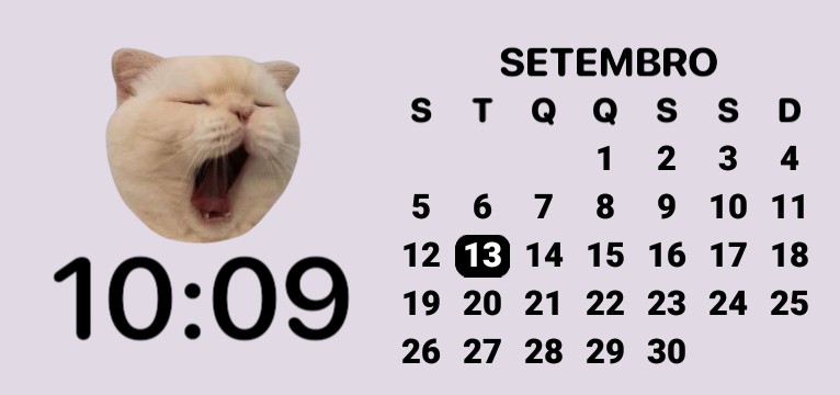 cat calendar