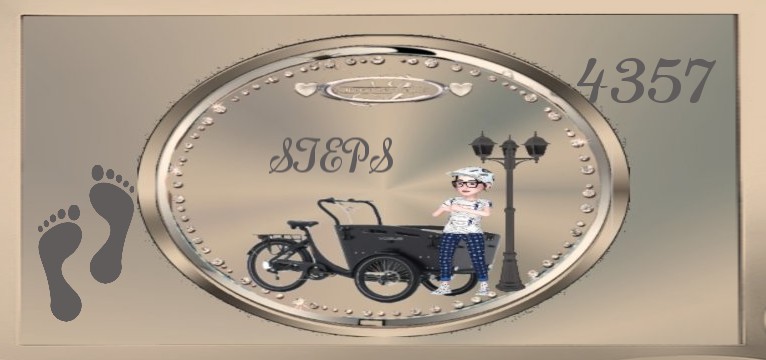 Step Lastenebike 1 beleuchtet 