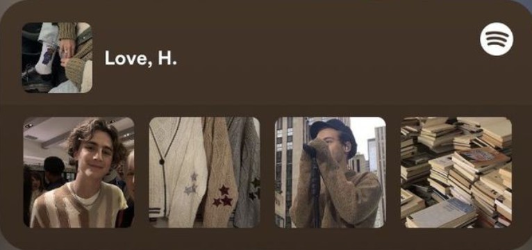 Spotify widget 