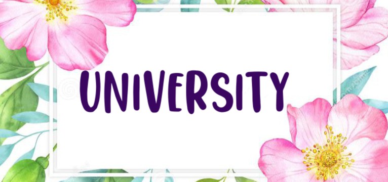 University 