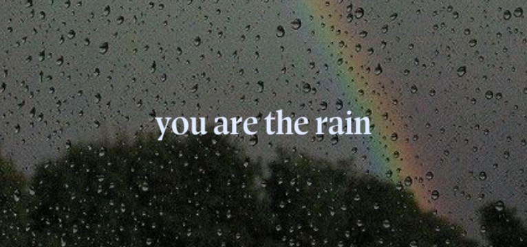 you are