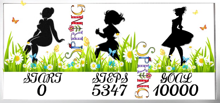 Step counter Spring 1
