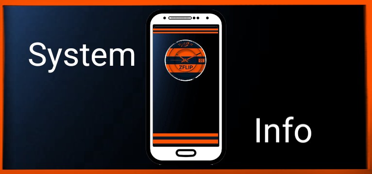 System Info ZFLIP 