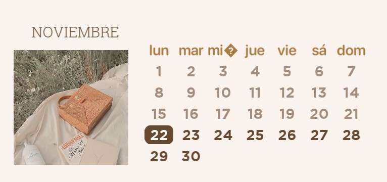 Aesthetic widget