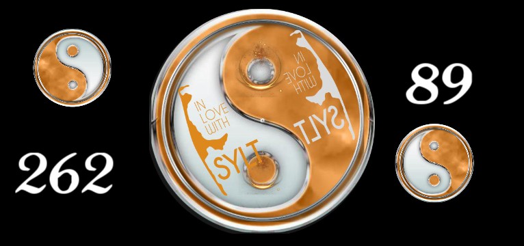 Herzschlag Kalorienverbrauch Syler Yin Yang 