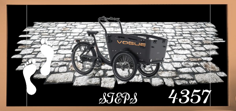 Step Bike Werbung schwarz 