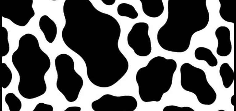 moooo
