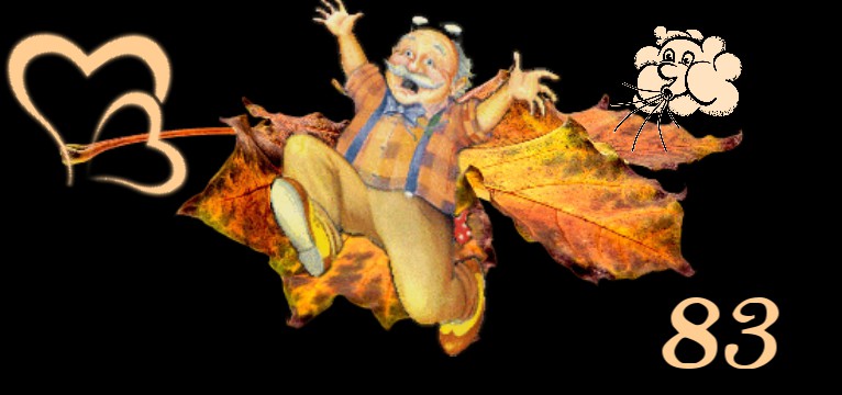 Herzschlag Herbst Rueckenwind 