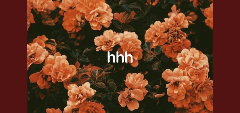 text 