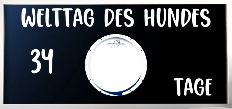  counter White Blue 