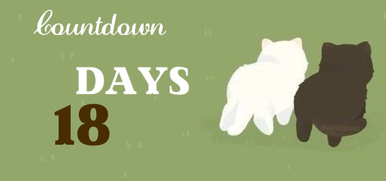 Birthday Countdown