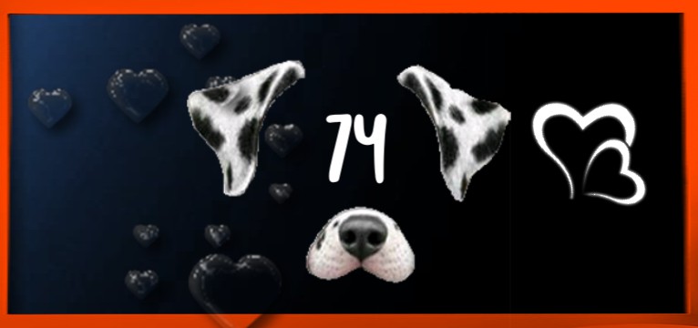 Herzschlag Dark blue Love DOG orange 