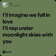 Spotify lyrics 