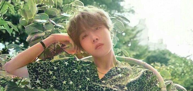 Jung hoseok