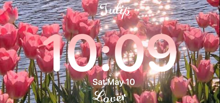 Tulip 