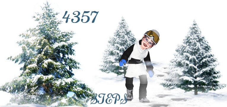 Steps Ich Winter 